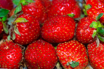red ripe strawberry fruit background, contains vitamin c, close up, can be used in juice, ice cream and cake preparations
