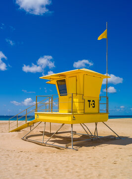 Lifeguard