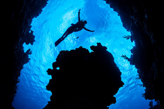 Diver exploring a coral reef, Grand Cayman, Cayman Islands, Caribbean Sea.  Model released.