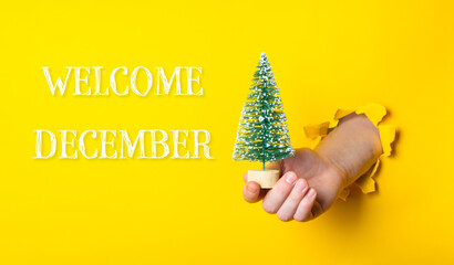 A hand holding a small Christmas tree in front of a yellow background