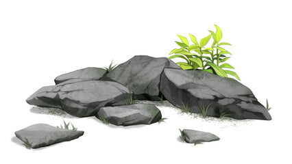black stones and grass