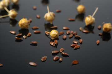 Flax grains on a black background.