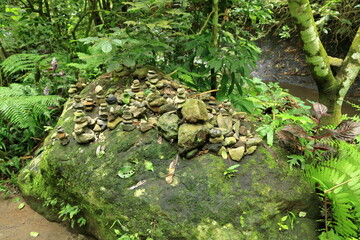 small River near the Munduk Waterfall, Bali, Indonesia