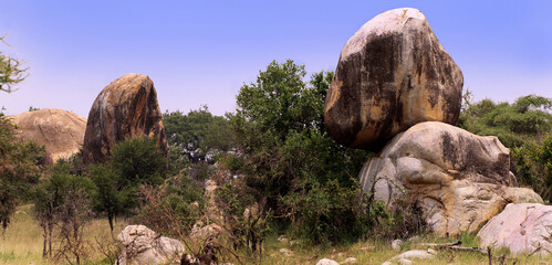 Kopjes - Inselberge der Savanne, auch Königsfelsen, Tansania, Ostafrika, 