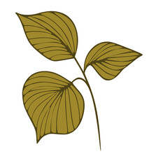 Tropical leaves illustration