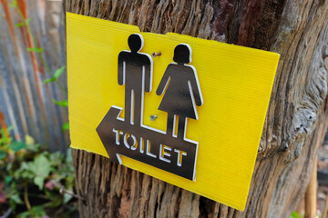 Toilet sign with male and female icon made of foam sheet and feature board on the old tree trunk in...