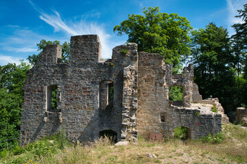 Fototapete bei efototapeten.de bestellen   