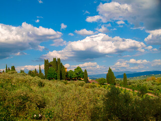 Italia, Toscana, Firenze,  campagna zona Tavarnuzze, 