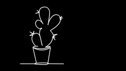 Cactus potted plant self drawing animation. Black background.