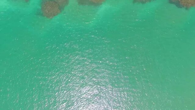 Drone sobrevoando o mar azul piscina em um ensolarado dia de ver&atilde;o. V&iacute;deo a&eacute;reo de corais e limpo mar de Taipu de Fora, praia da Bahia, Brasil.