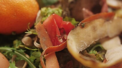 Discarded rotten fruits and vegetables left for waste. Reducing food waste in produce.