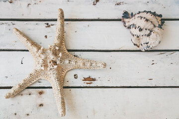 Top view of a starfish and a seashell lying on a rustic white wooden background