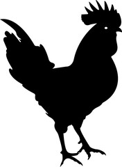 Hen Cock Chicken Silhouette Animal