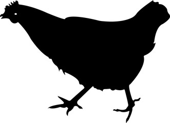 Hen Cock Chicken Silhouette Animal