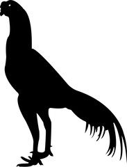 Hen Cock Chicken Silhouette Animal
