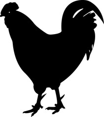 Hen Cock Chicken Silhouette Animal