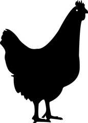 Hen Cock Chicken Silhouette Animal