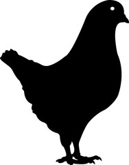 Hen Cock Chicken Silhouette Animal