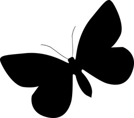 Butterfly Silhouette Animal Png