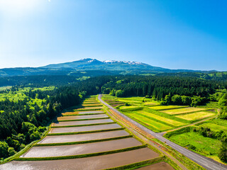 鳥海山と鳥海ブルーライン沿いの水田（秋田県にかほ市）