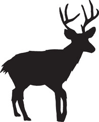 Deer Silhouette  Animal
