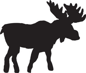 Deer Silhouette  Animal