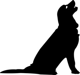 Silhouette Dog Animals
