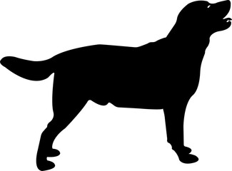 Silhouette Dog Animals