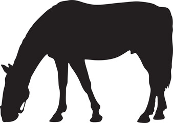 Silhouette Horse Illustration 