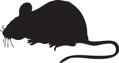 Mouse Rat Mice Animal Illustrations Silhouette 