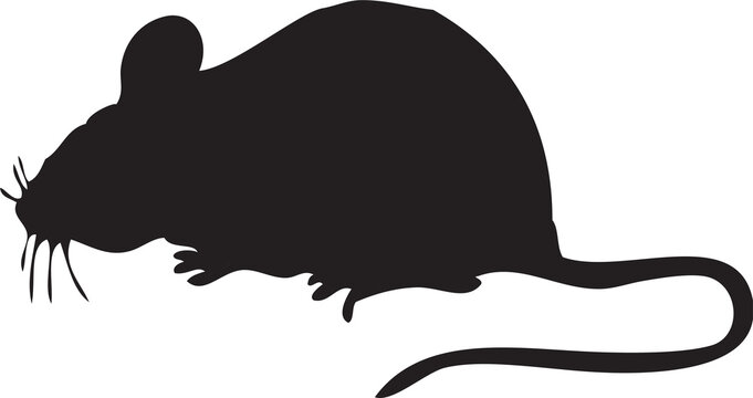 Mouse Rat Mice Animal Illustrations Silhouette 