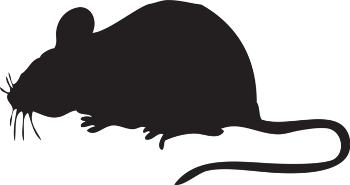 Mouse Rat Mice Animal Illustrations Silhouette  - Powered by Adobe