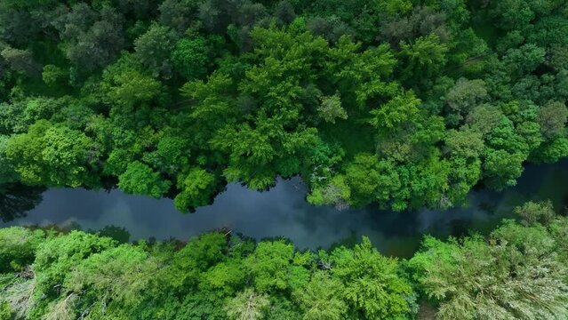 Spring landscape around the Roman bridge over the Nela river in Villar&iacute;as. Aerial view from drone. Las Merindades region. Burgos. Castile and Leon. Spain. Europe