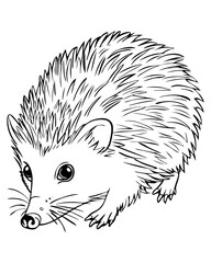 Cute isolated animal, flowers, fairies coloring page