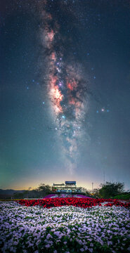 Milky way on flower garden, Thailand