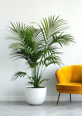 White room with a large potted palm plant in a modern white pot on the floor, white wall and a yellow chair, close up, minimal interior design in the style of aesthetic stock photo, high quality