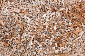 Sawdust or wood dust texture background. Brown wood saw dust and woodchip background closeup in a carpenters workshop. Top view image. 