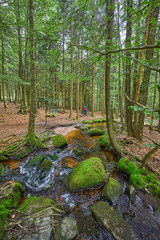 Obraz premium active senior woman on a bike packing tour with her electric mountain bike at a Little river River in the Bavarian Forest near Waldkirchen, Bavaria, Germany