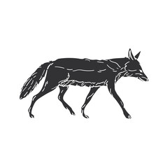 Dingo Icon Silhouette Illustration. Animal Vector Graphic Pictogram Symbol Clip Art. Doodle Sketch Black Sign.