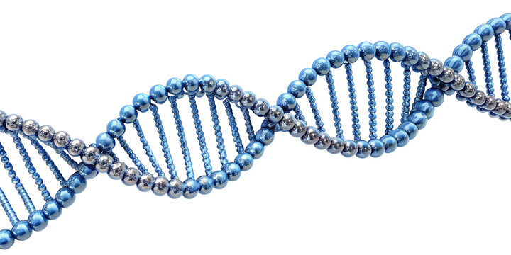 dna chain isolated on transparent background