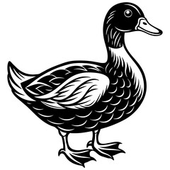 Black duck isolated on white vector illustration