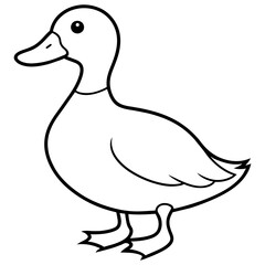 duck isolated on white vector illustration