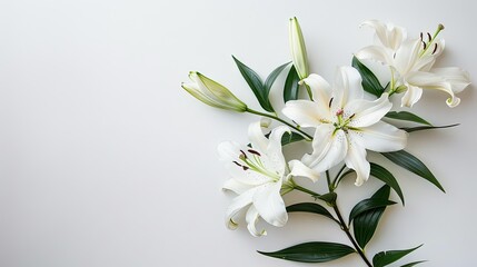 Obraz premium Ethereal Blossoms Dancing on Alabaster