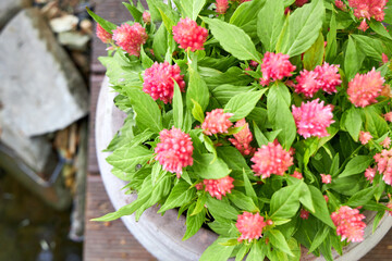 flower arrangements with garden flowers decorate the summer veranda