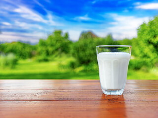 A glass of milk on a wooden table against the backdrop of a summer garden.