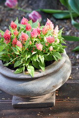 flower arrangements with garden flowers decorate the summer veranda
