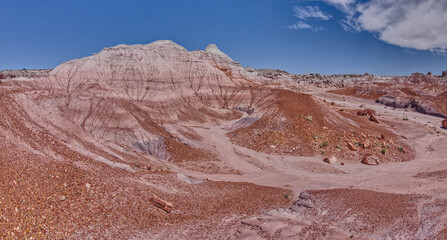 South Hill below Blue Mesa at Petrified Forest AZ