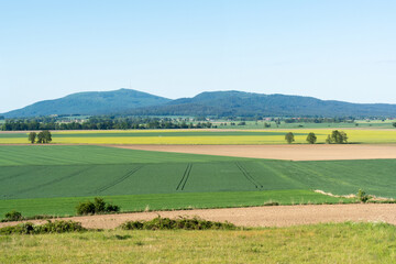 Fototapeta premium A beautiful spring landscape of a field against a background of mountains 