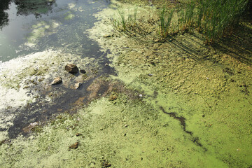 polluted water natural organic dirt environmental space concept photography