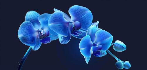 An elegant icon of a blue orchid with stylized petals, set against a simple background.